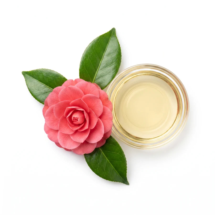 Aceite de Camelia