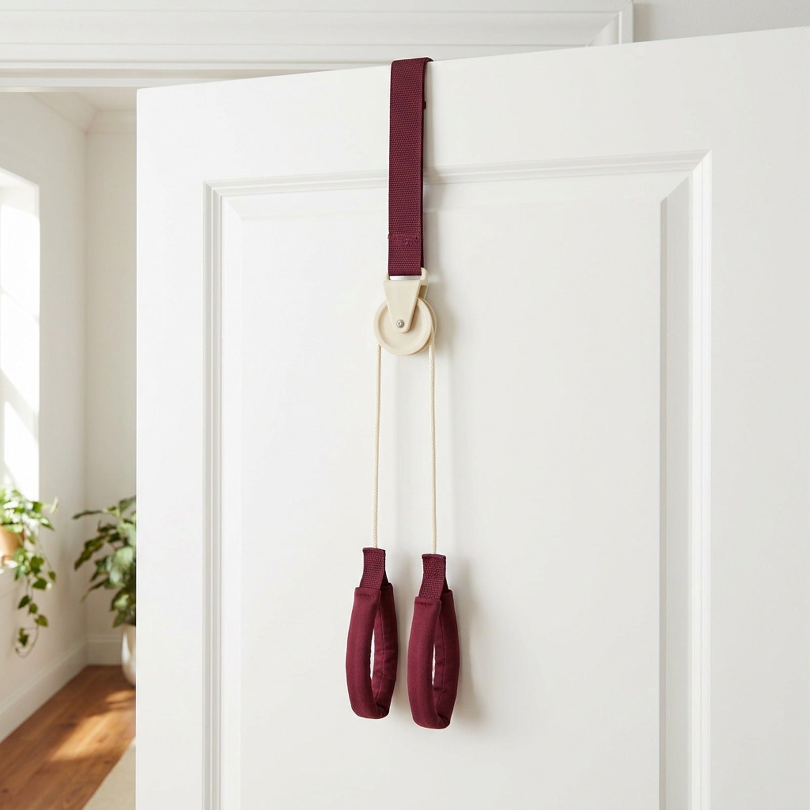 The pulley fitted over a door, ready to use